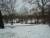 Central Park, sous la neige, le premier jour.